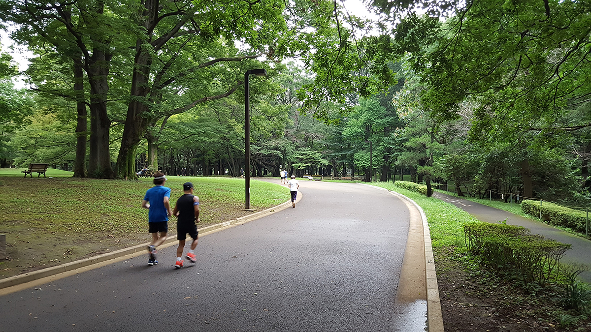 代々木公園