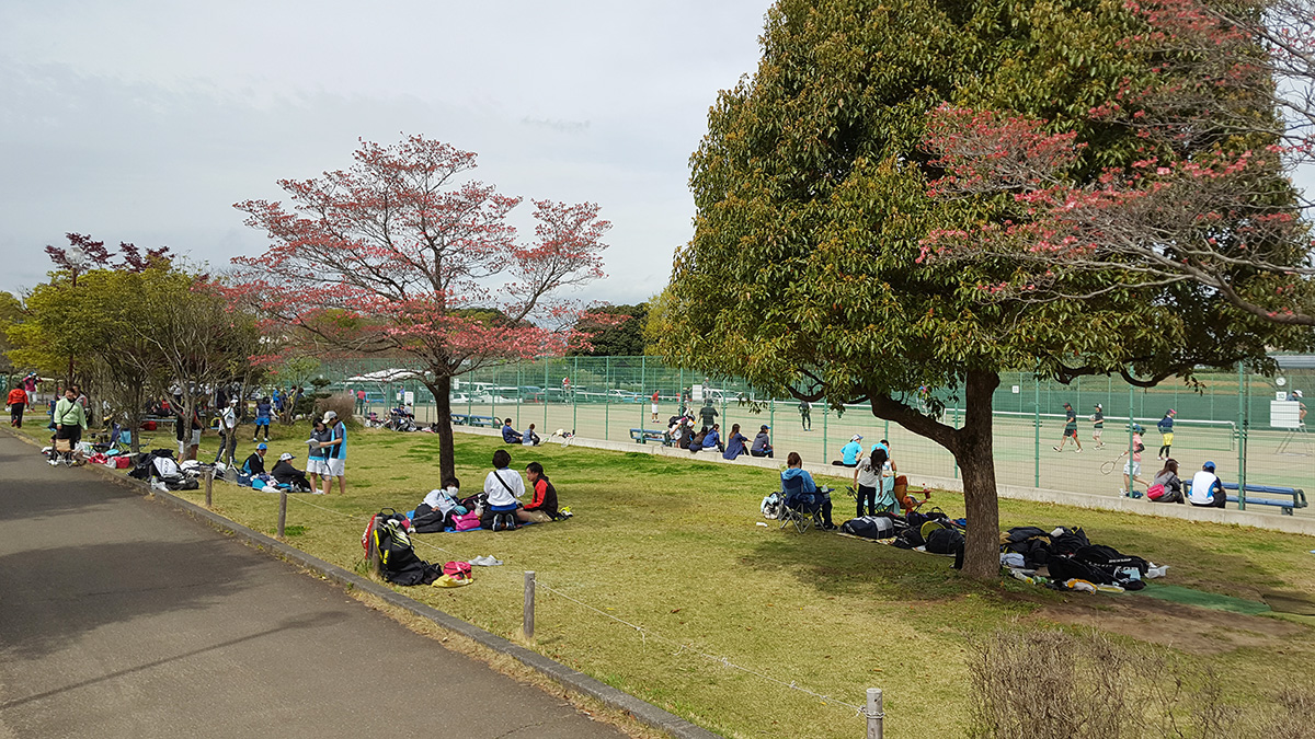 所沢ミックスオープンソフトテニス大会,北野総合運動場