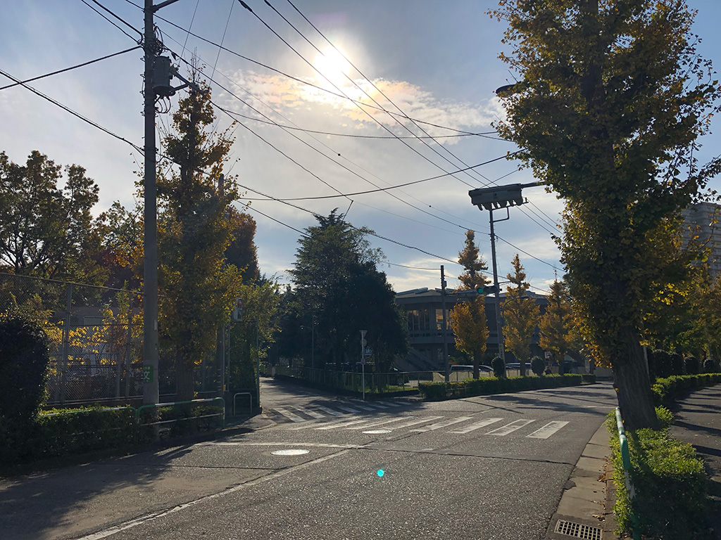 東京都北区,桐ケ丘体育館テニスコート